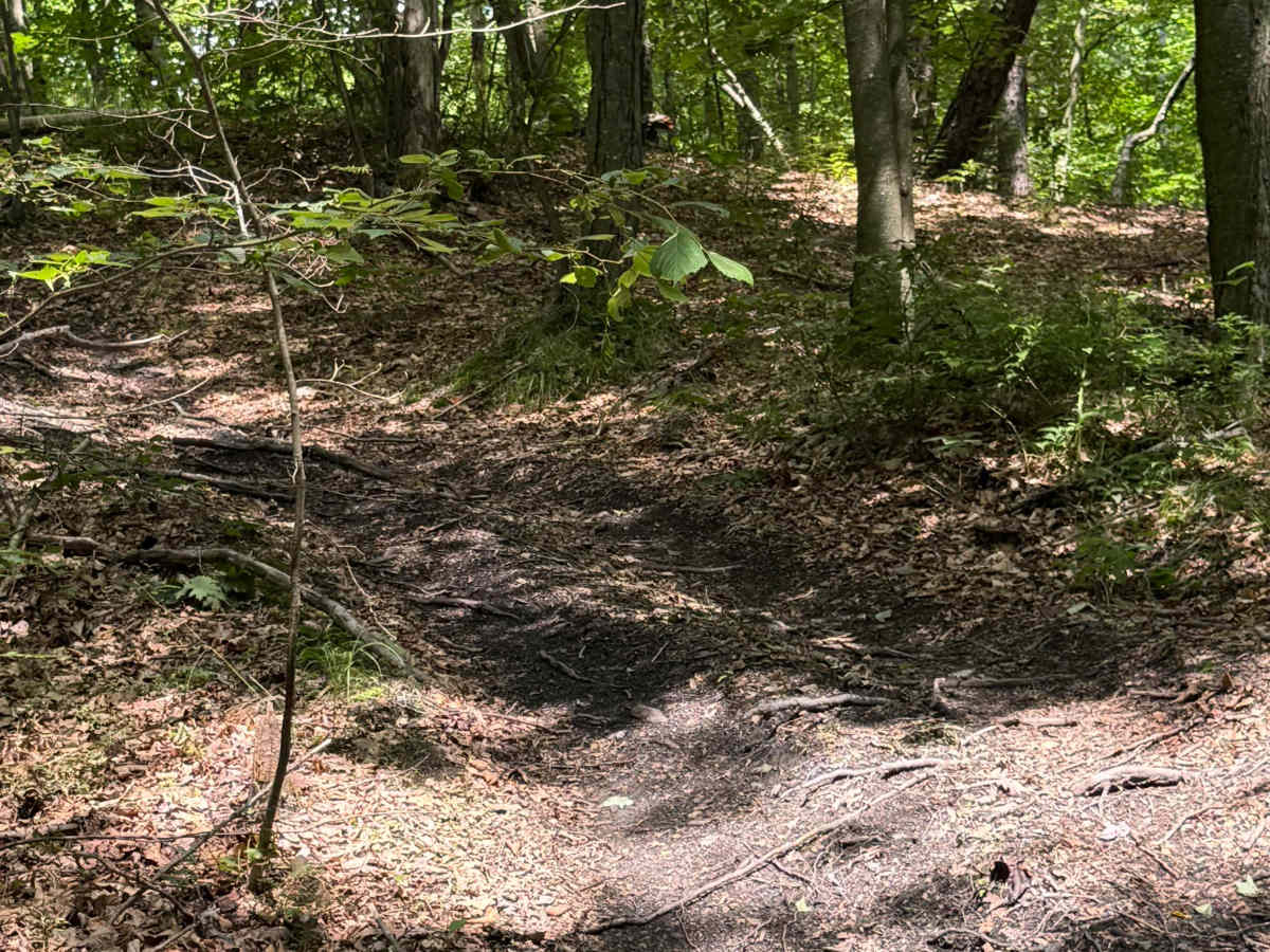 Trail 43 photo 5