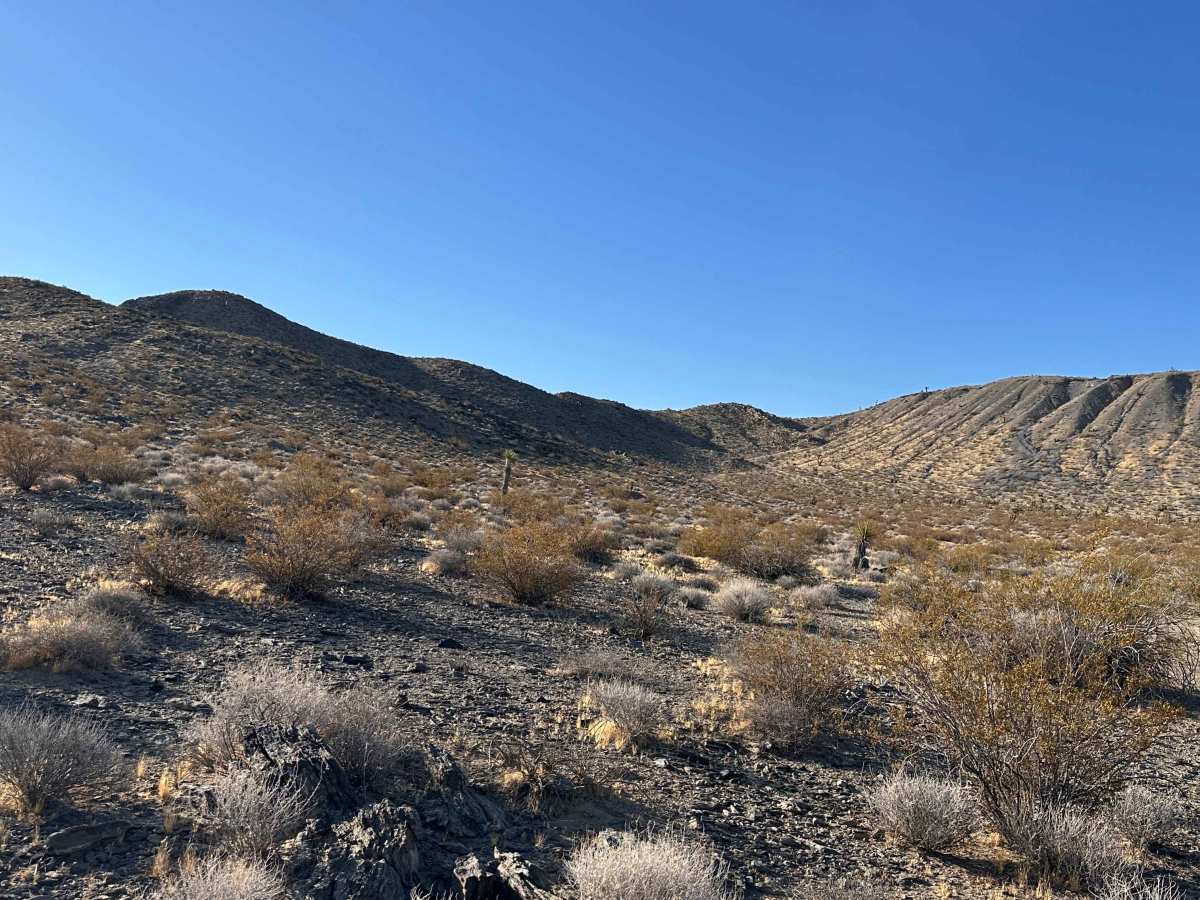Wild Horse Trail photo 2