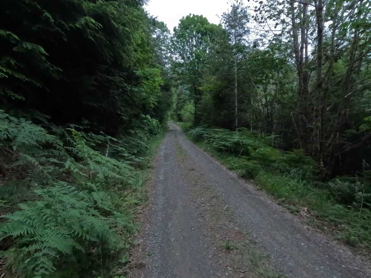 North Side Sauk River - FS 22 trail photo