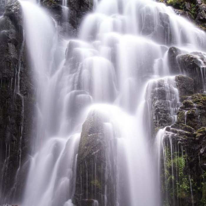 Near Kings Creek Falls Out and Back