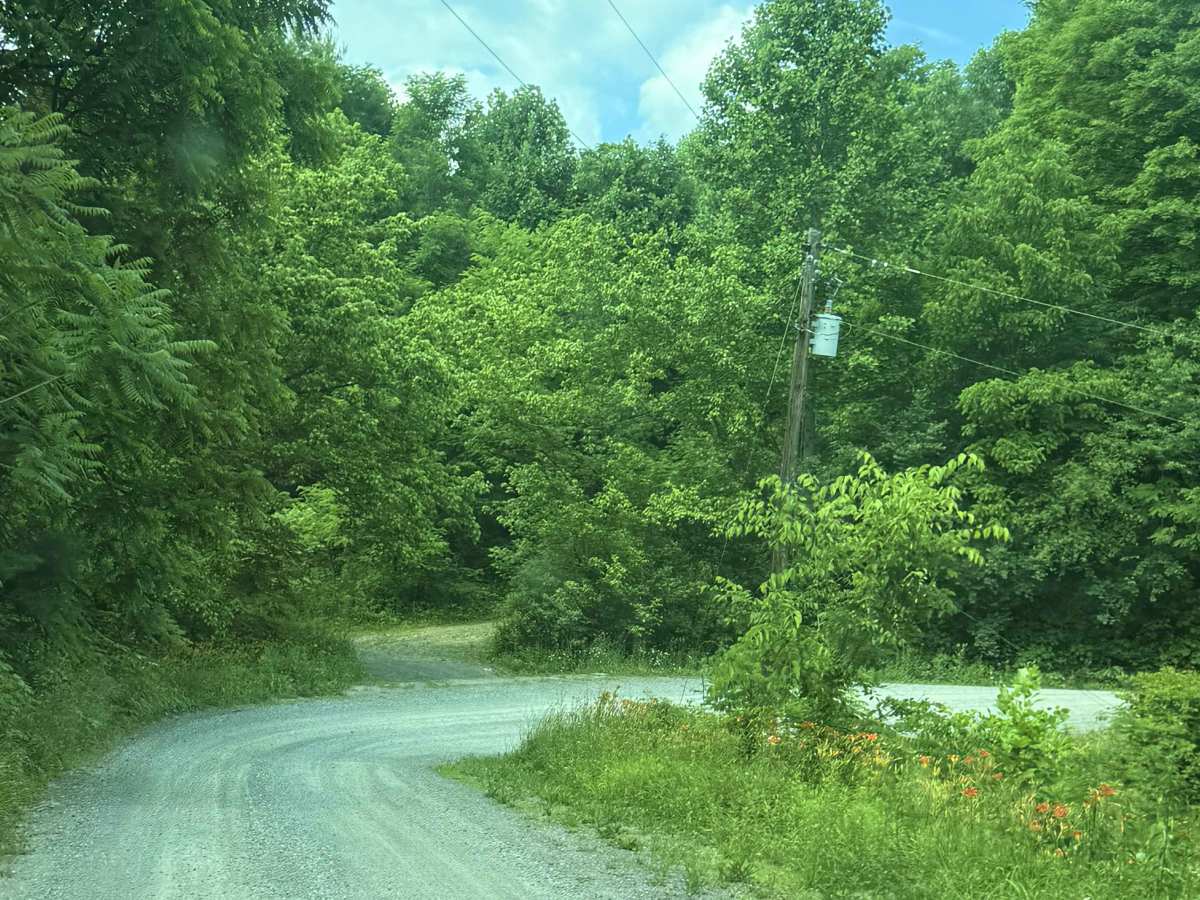 Sandy Ridge Road photo 4