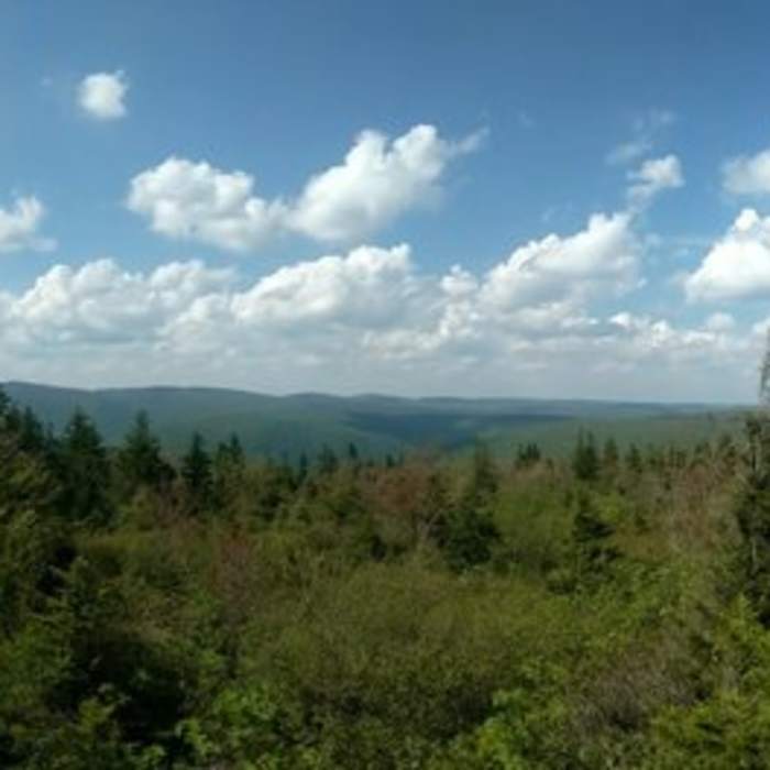 Near the top of Boar's Nest Trail. Near Roaring Plains Circuit