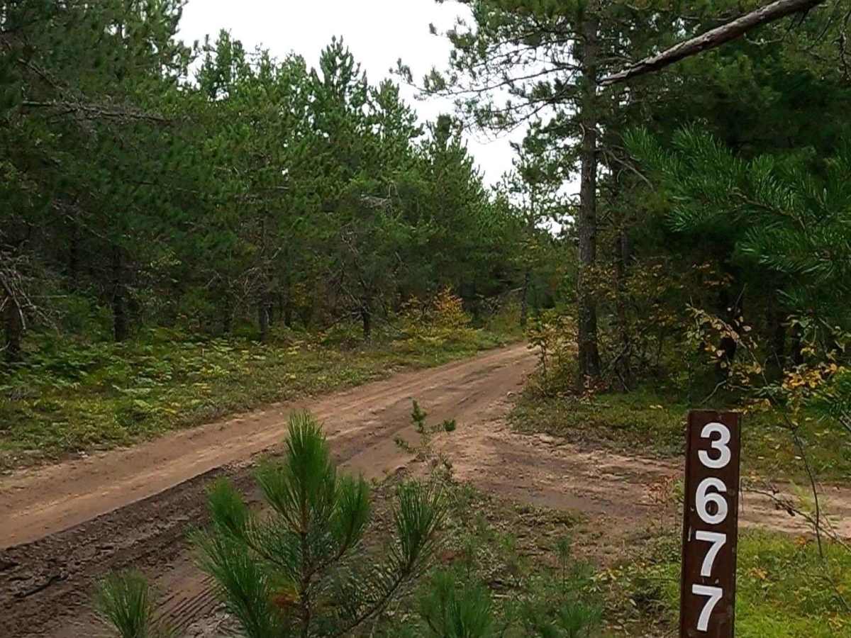 George - FS 3677 trail photo