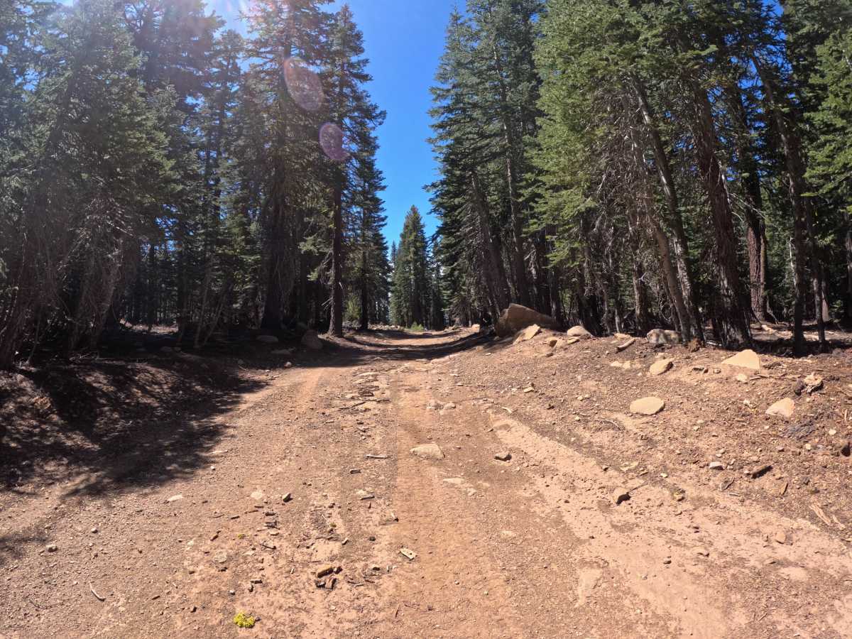 FS 16N92B trail photo