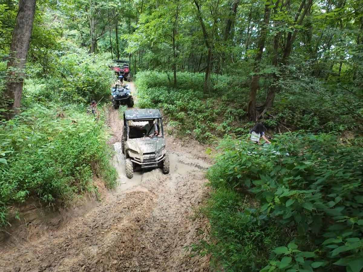Wheeler Woods Trail photo 5