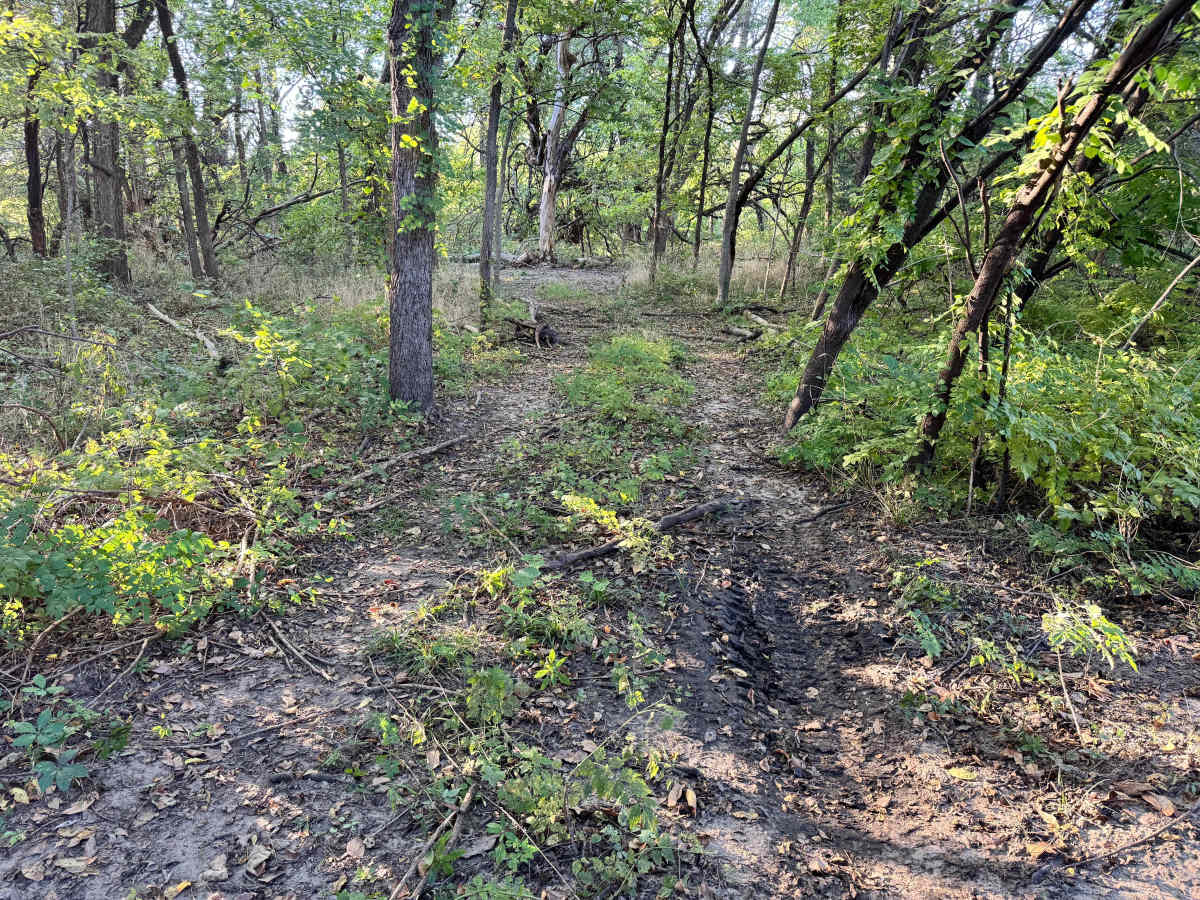 Flatbed Flats trail photo