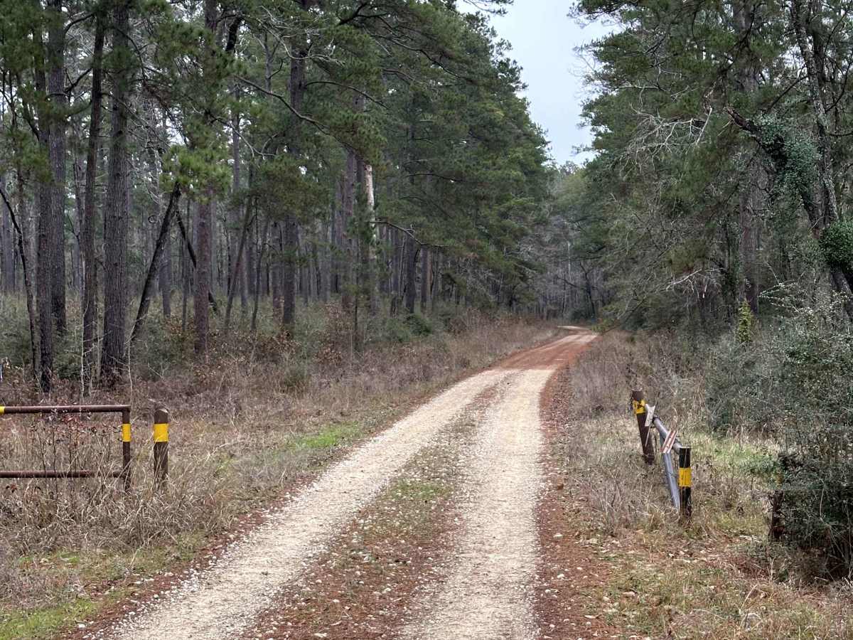 Calaham - FS 233A trail photo