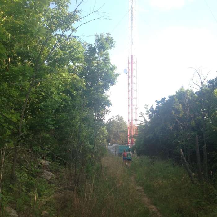 View of the Tower toward the top of the switchback on Varnedoe. Near Varnedoe Trail