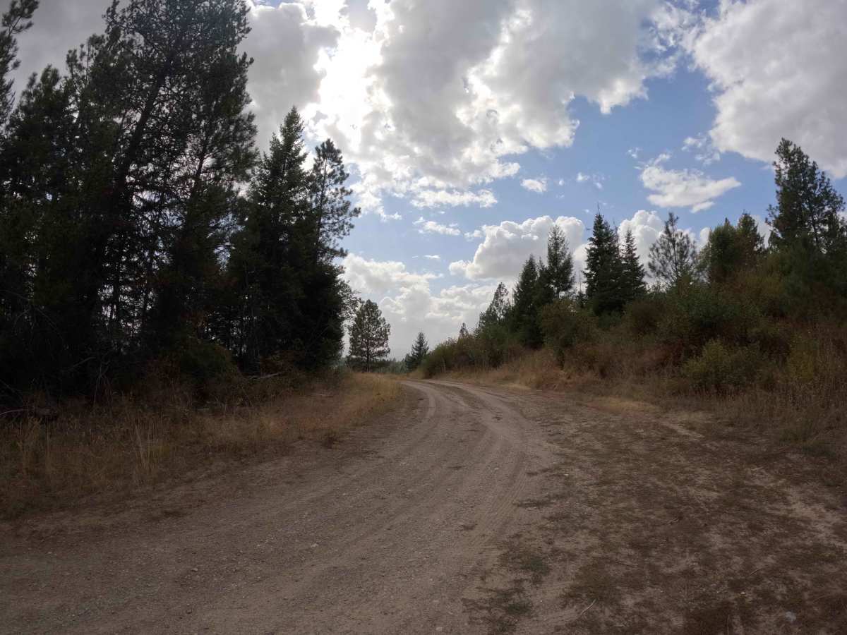 Lucky 21 - FS 5000010 trail photo