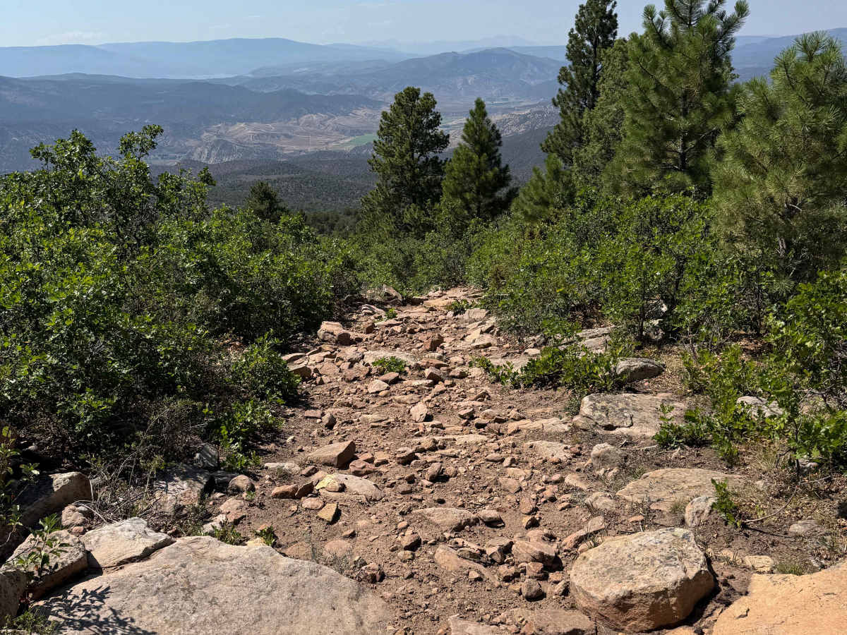 BLM 6112B photo 5
