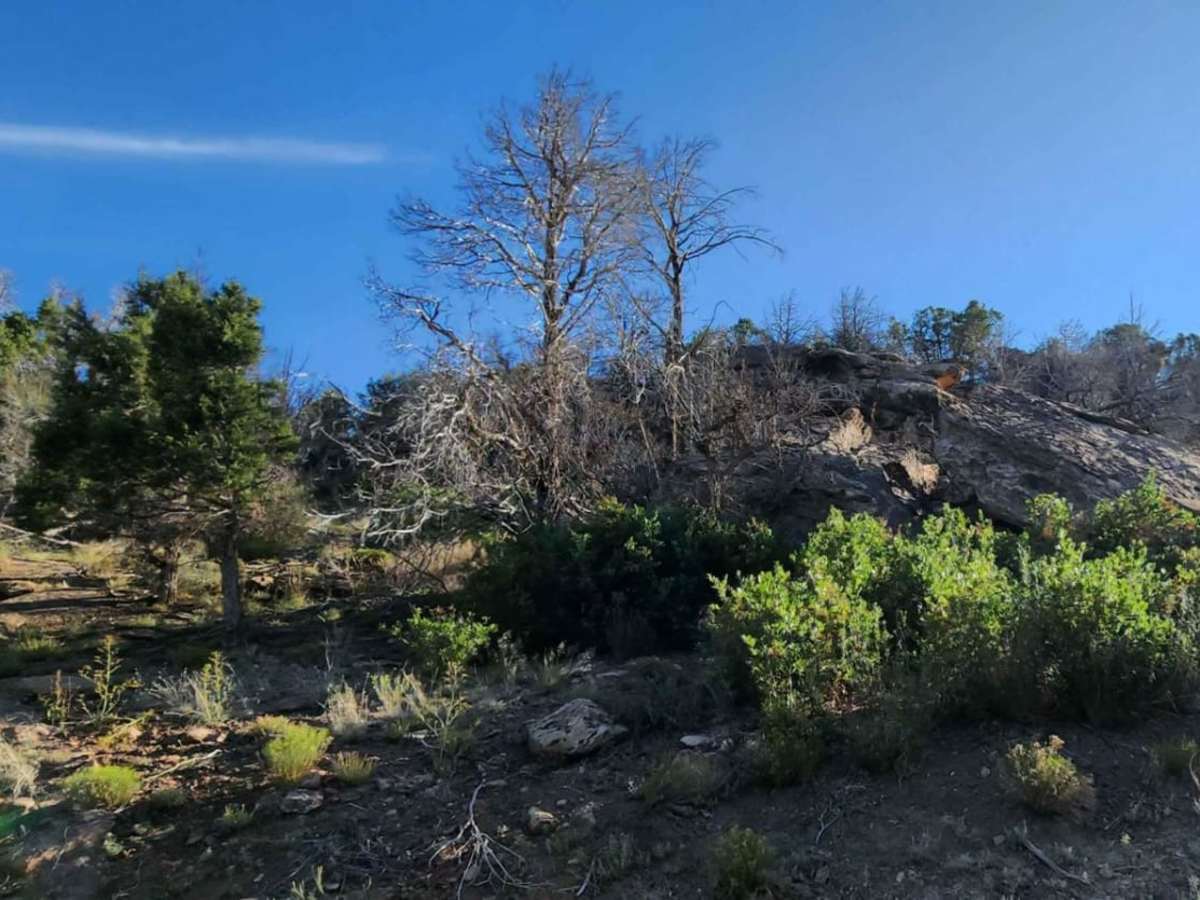 Beaver Rim Road photo 4