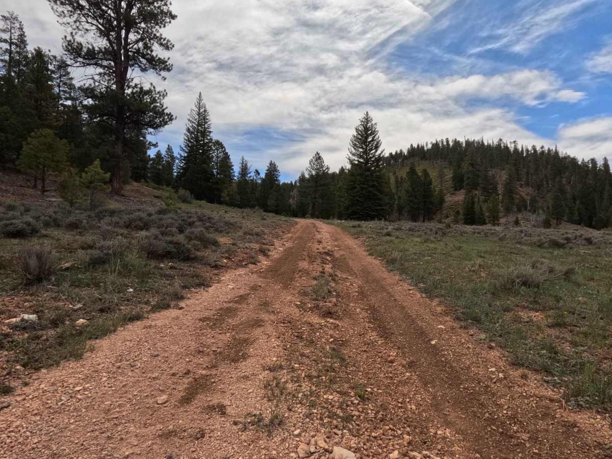 Long Hollow - FS 31130 photo 3