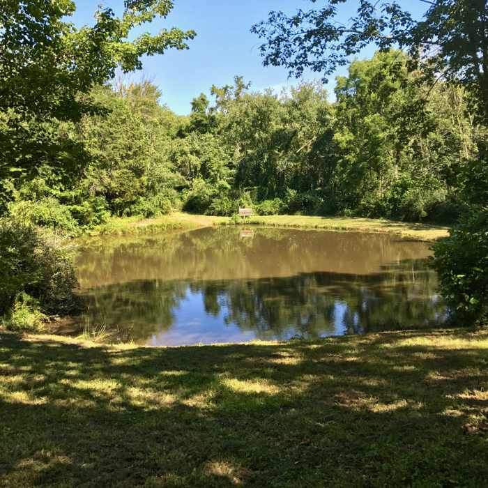 Near Green-Red-Blue Trail Loop