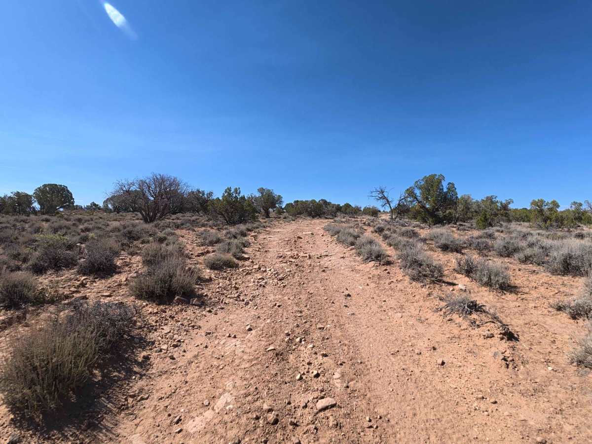 Burch Loop photo 6
