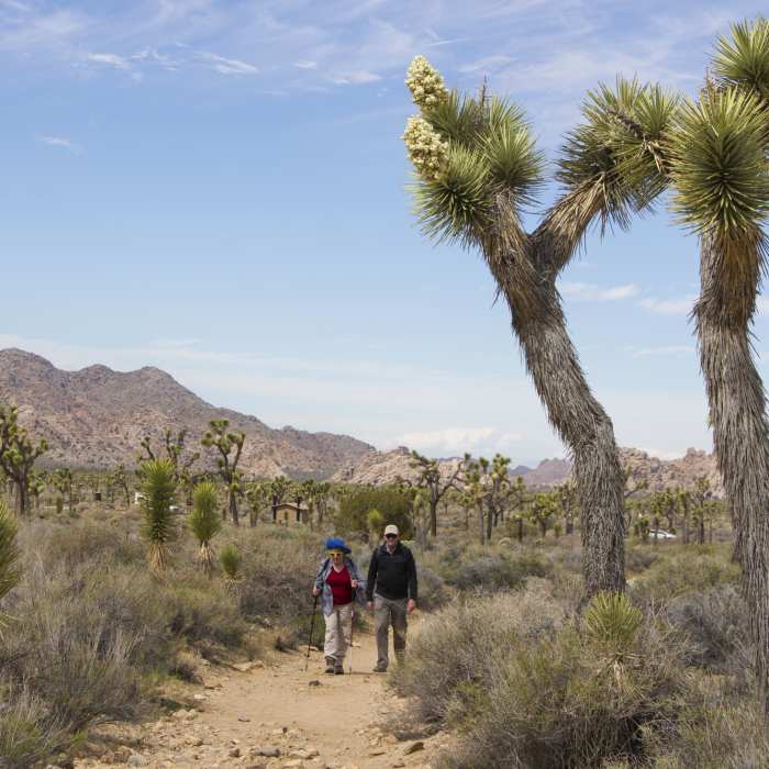 Near Ryan Ranch Trail