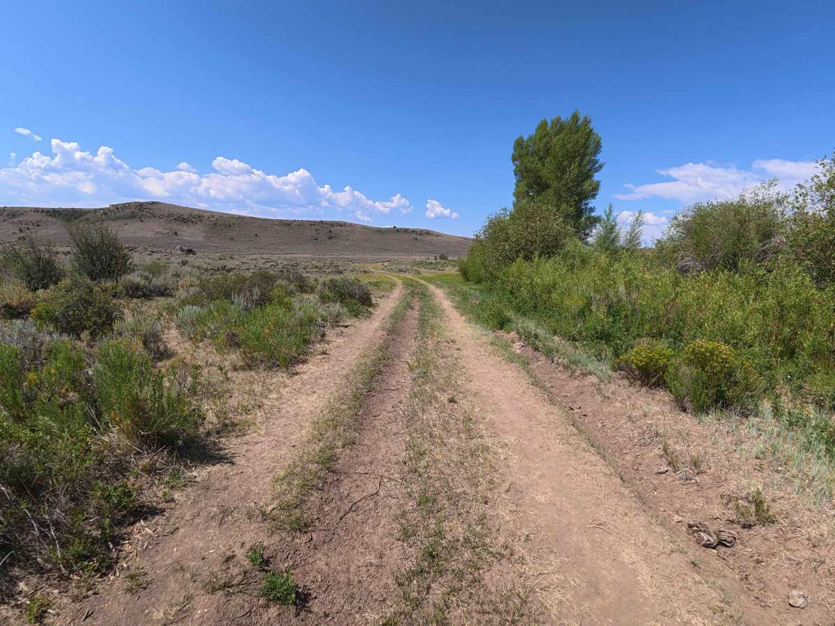 South Creek photo 2