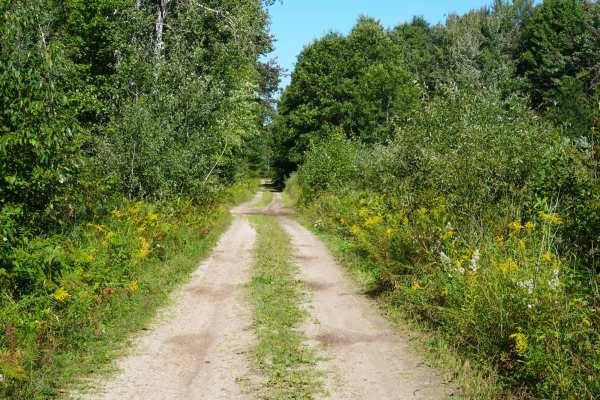 Tillman Road