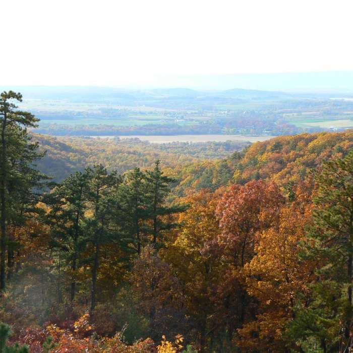 Near Scenic Vista Loop