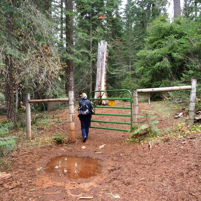 Near Willow Prairie North Loop #1091D