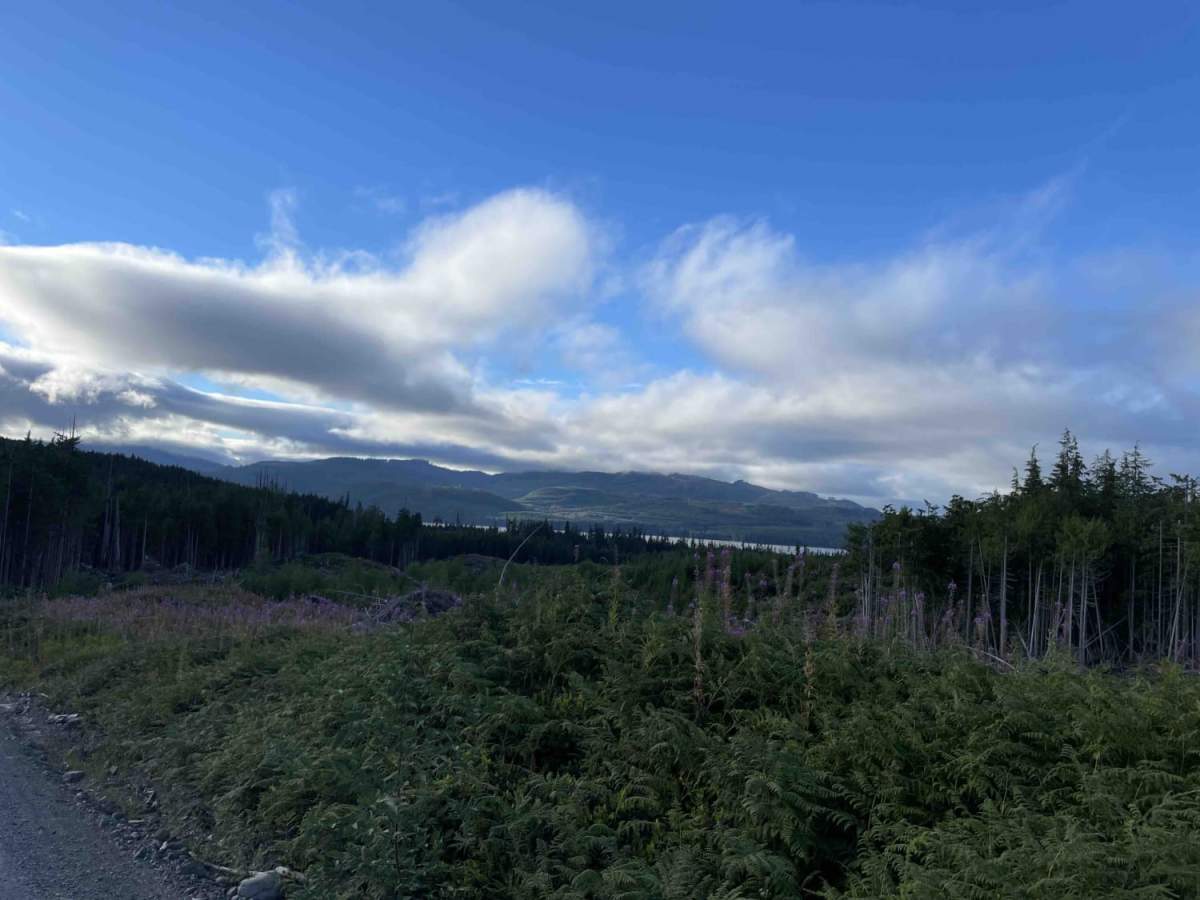 Side Bay from Port Alice photo 5