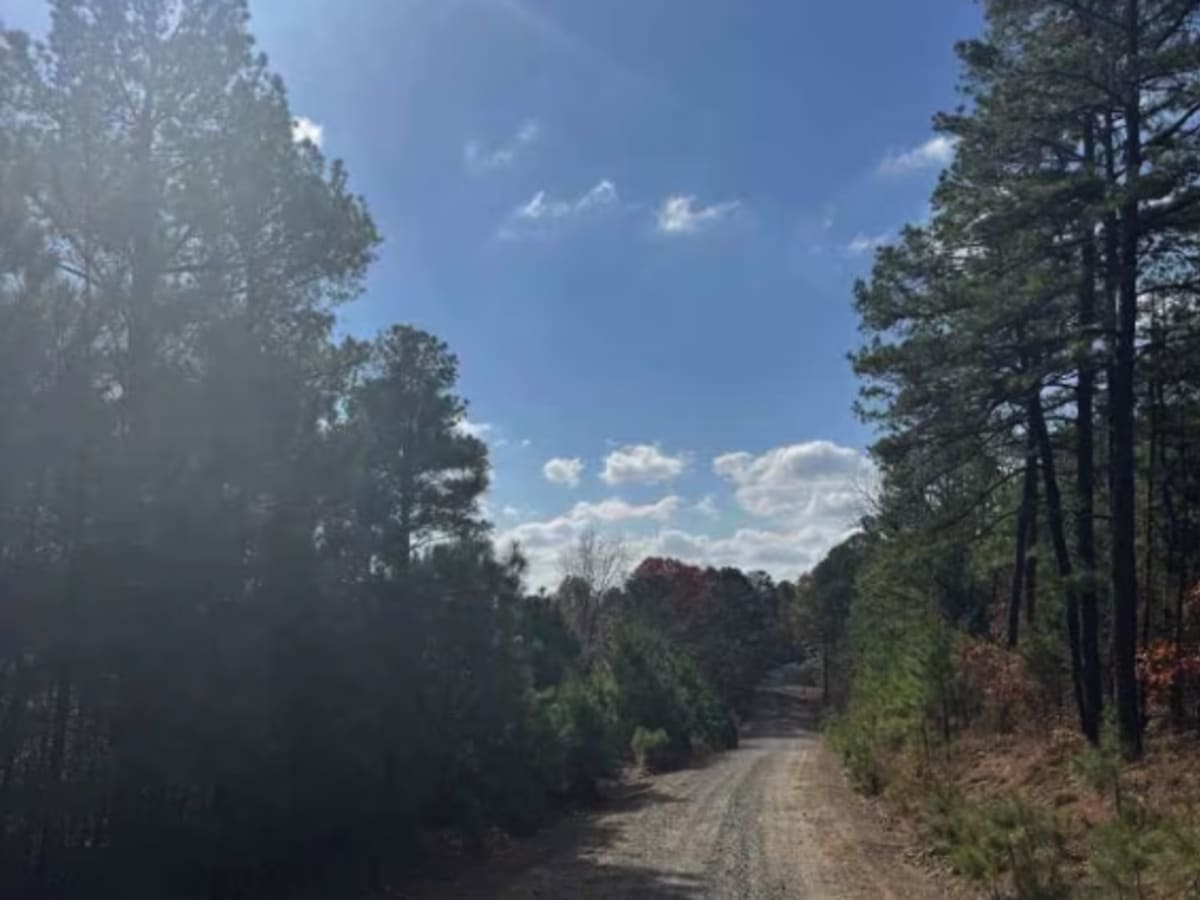 Jones Ranch Trail photo 2