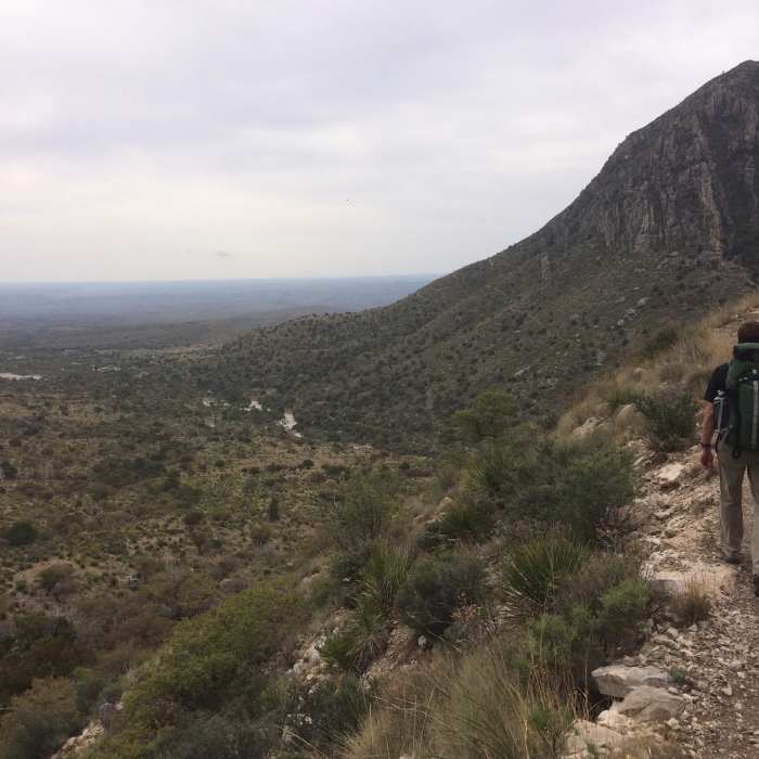 Near Texas Evergreen Tour