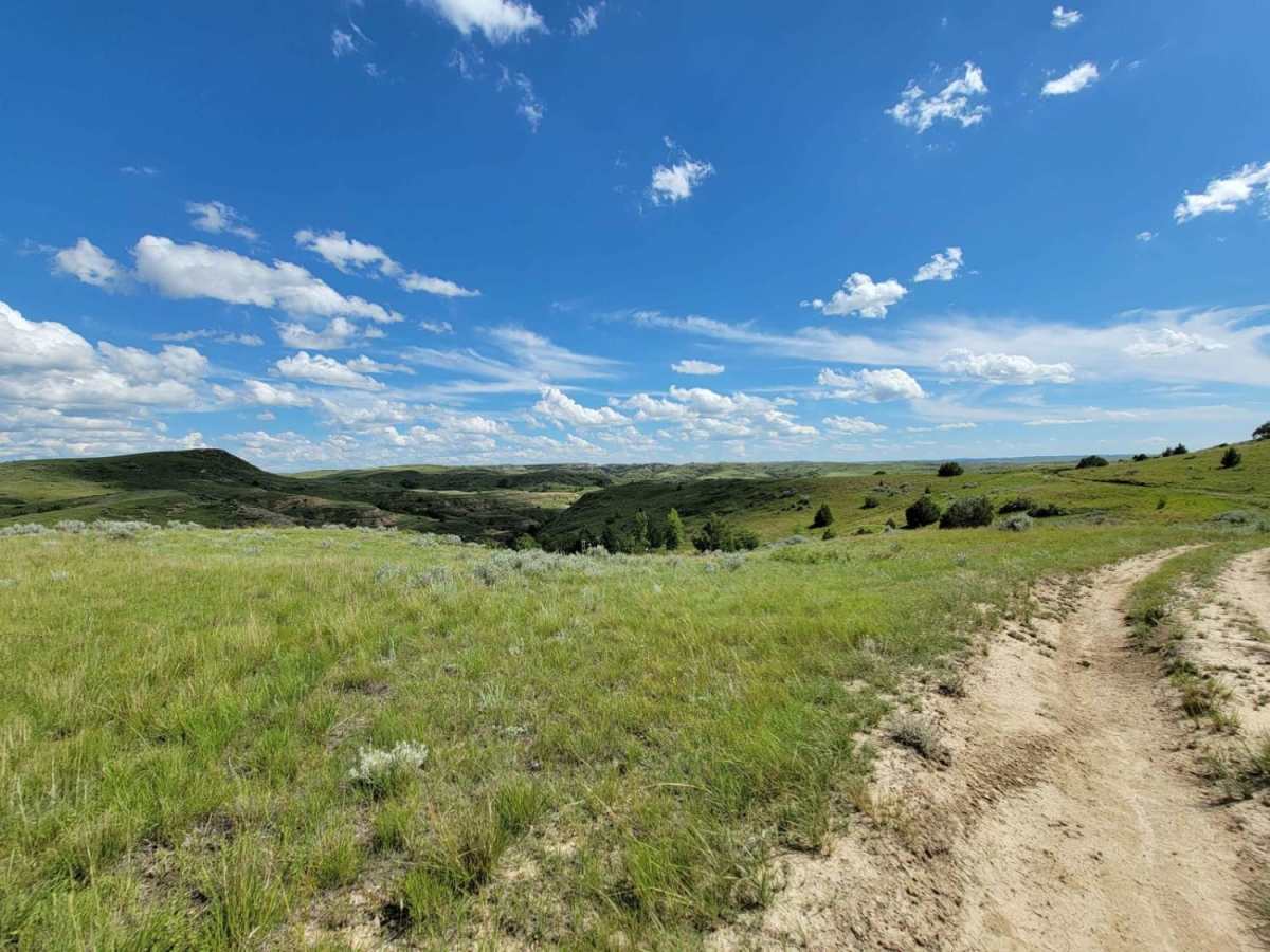 Tour of the Grasslands photo 4