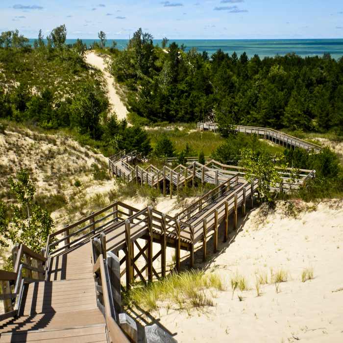 The Dune Succession Trail. Near West Beach 3-Loop