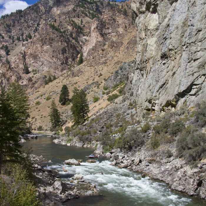 Near Middle Fork of the Salmon River Trail a Day 5