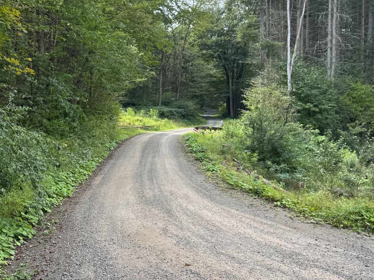 Mill Creek Road trail photo