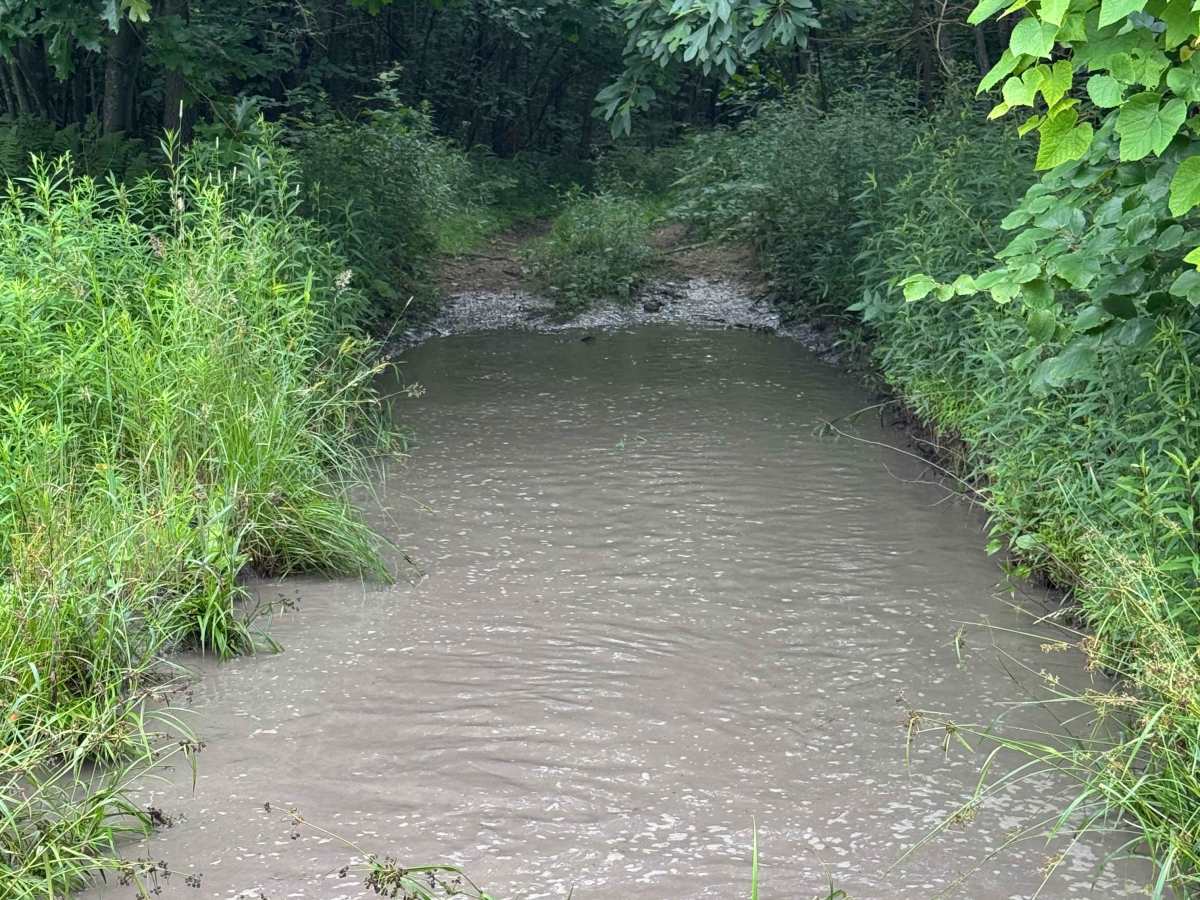 Trail 15 photo 6