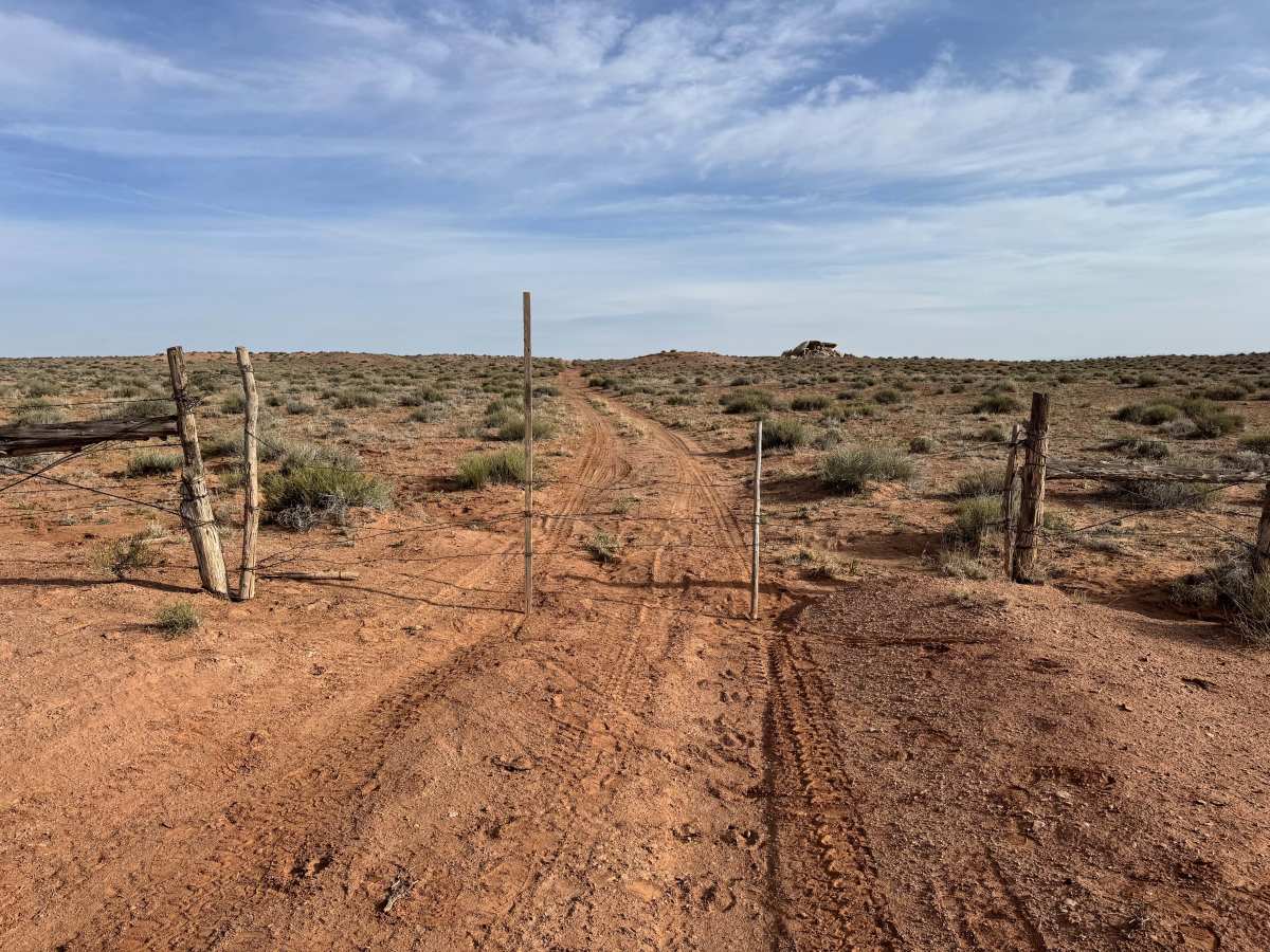 Gillis Ranch photo 6