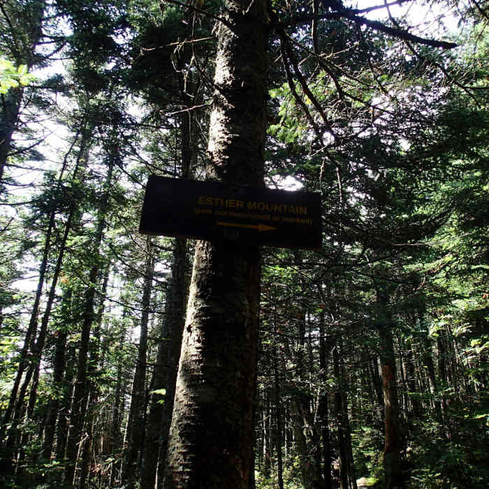 Near Wilmington to Whiteface Mountain Trail #82