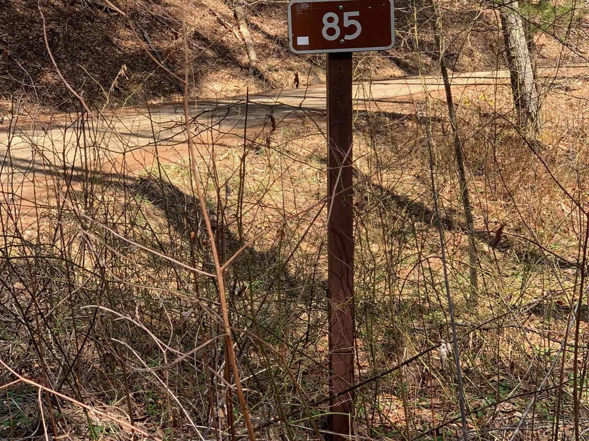 Reddish Knob photo 4