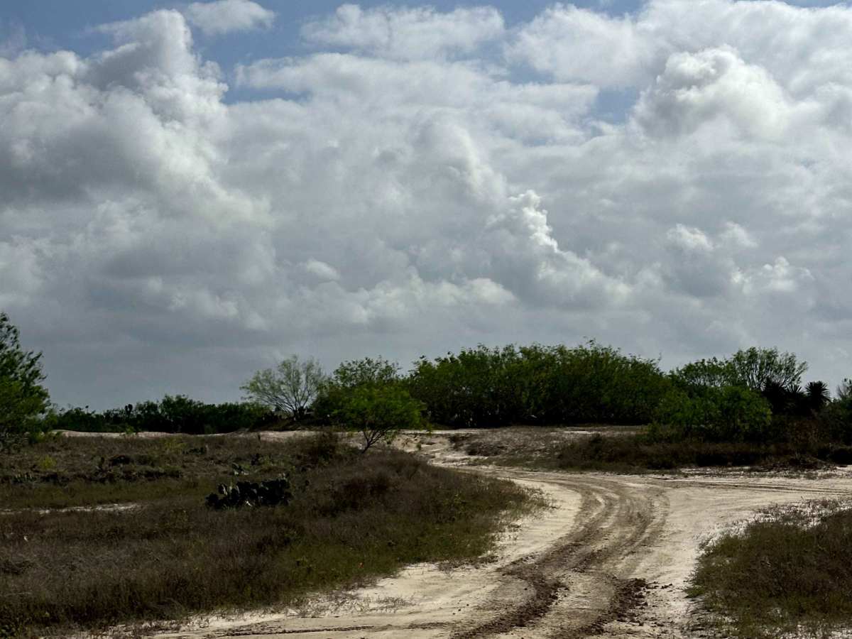 Ship Channel Entrance  photo 5