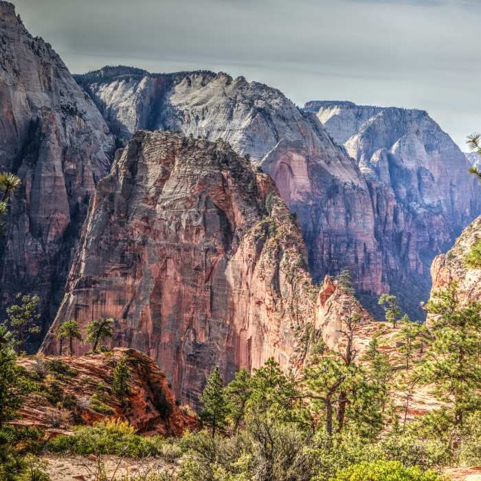 Near Angels Landing