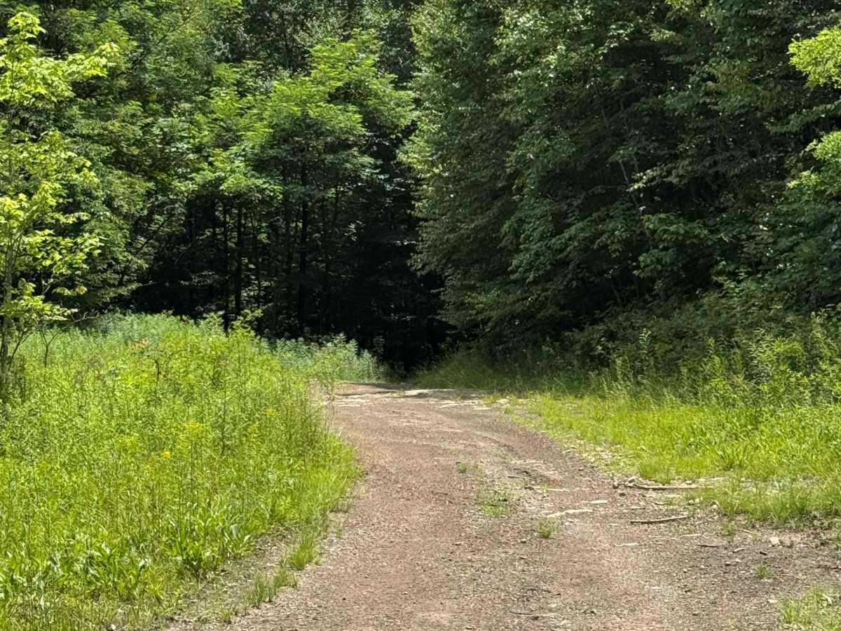 Trail 35 photo 4