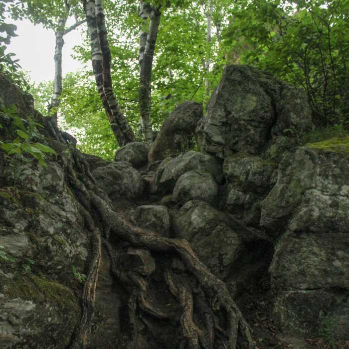 Near Chimney Mountain