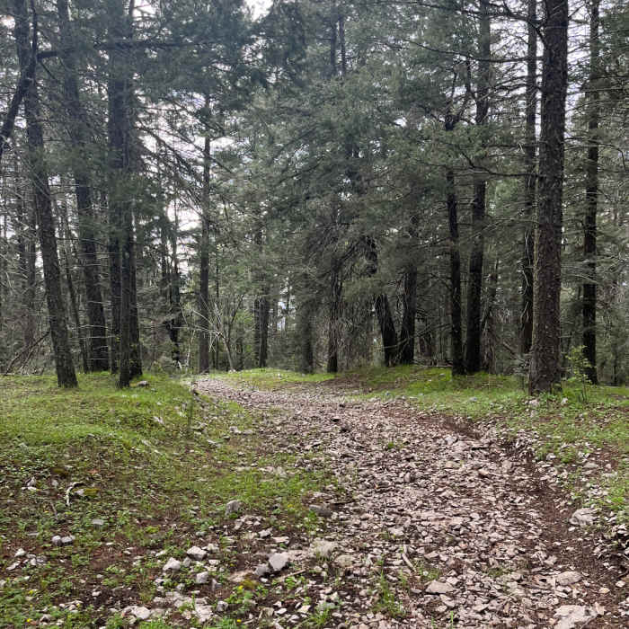 Rim Trail out-and-back Near Rim Trail Out-and-Back