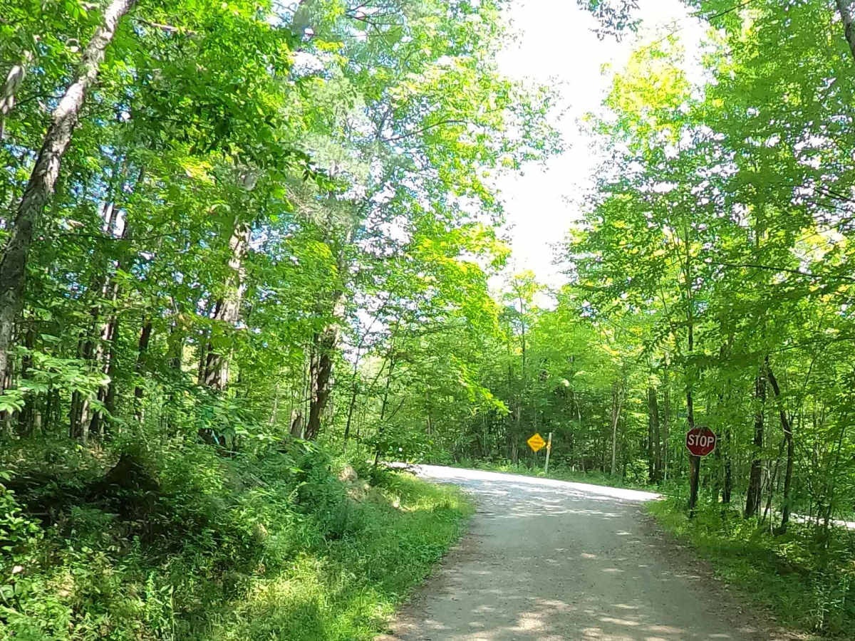 White Road photo 4