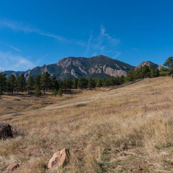 Near Shanahan Forks Loop