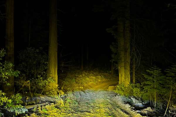 Ditch Road