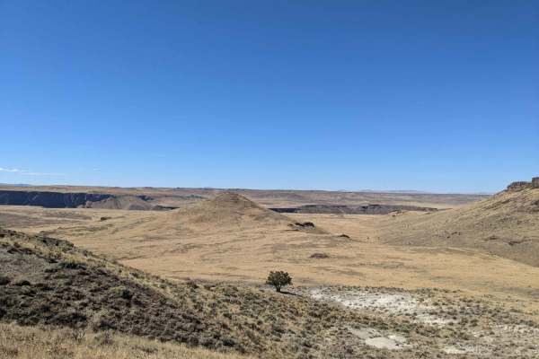 Jackson's Cat Trail