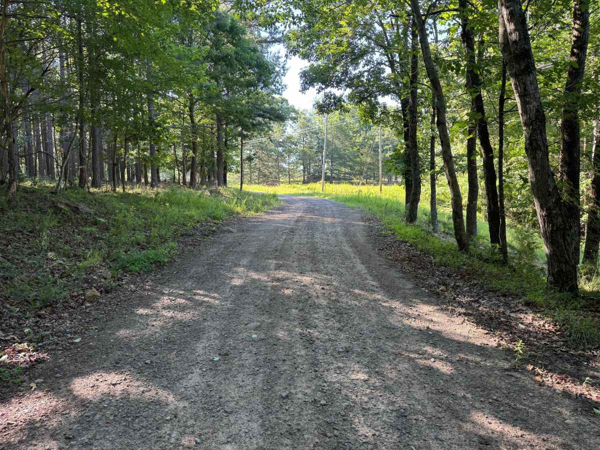 County Road 1465 photo 4
