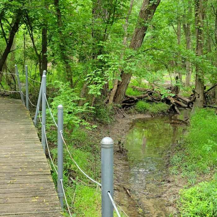 Near Cedar Brake Loop Trail