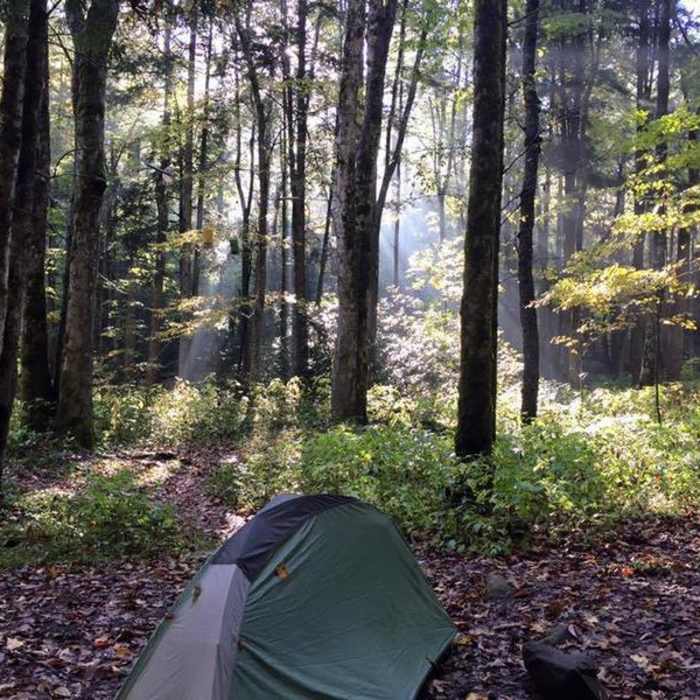 Walnut Bottom (Campsite 37) Near Mt. Sterling Loop (Big Creek / Baxter Creek)