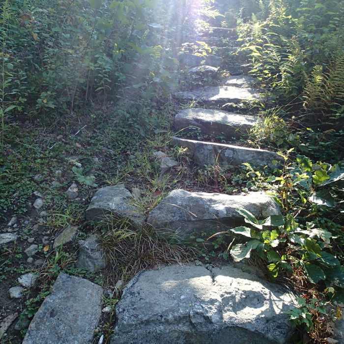 Near 100 Steps Trail