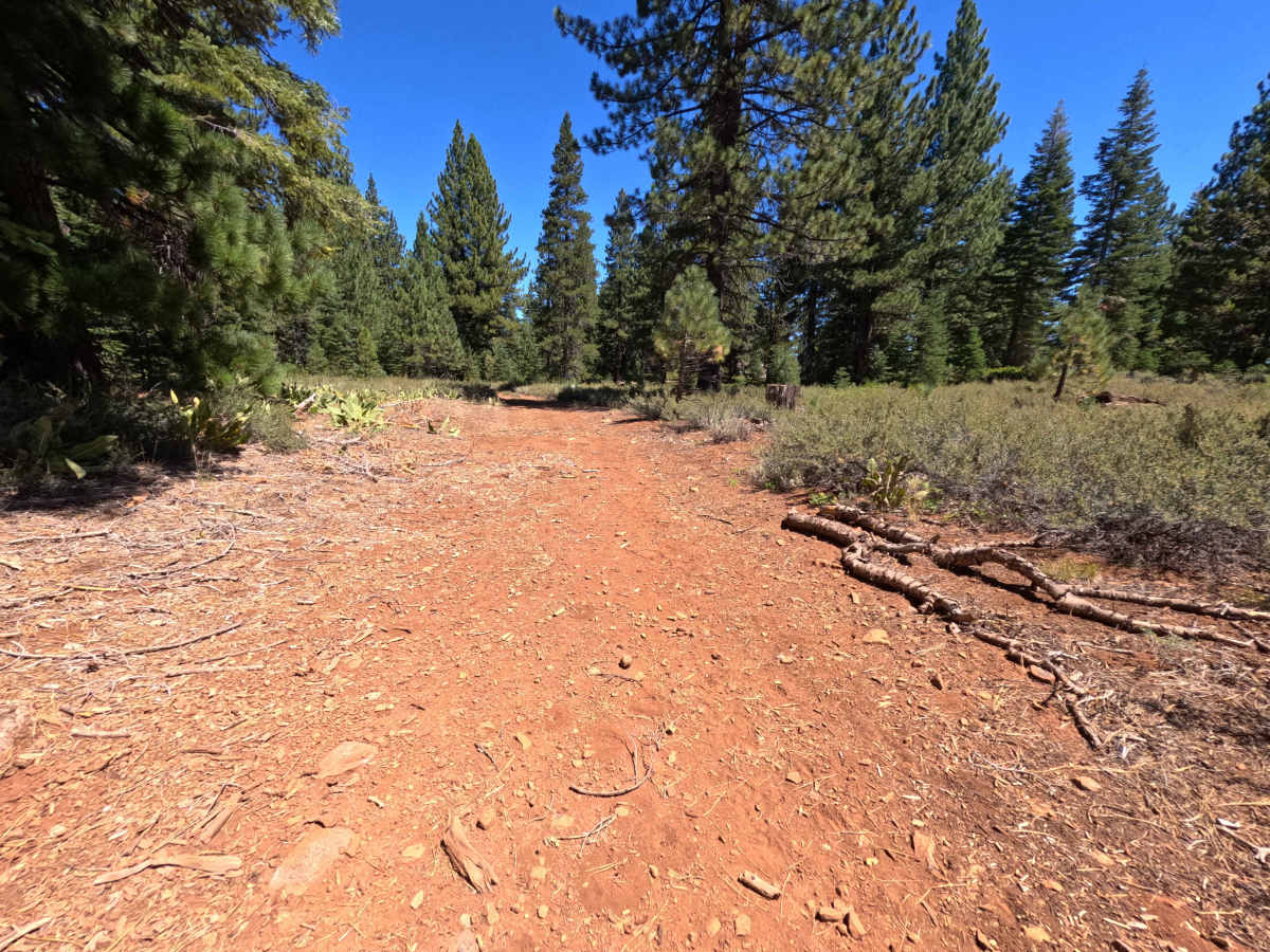 Holcombs Rd Spur - FS 0260-050 trail photo