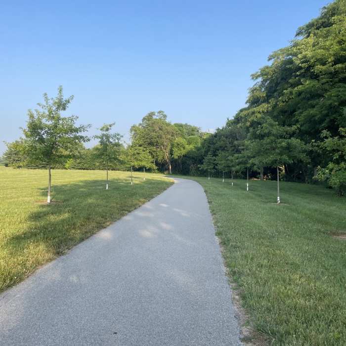 Near Three Springs Park