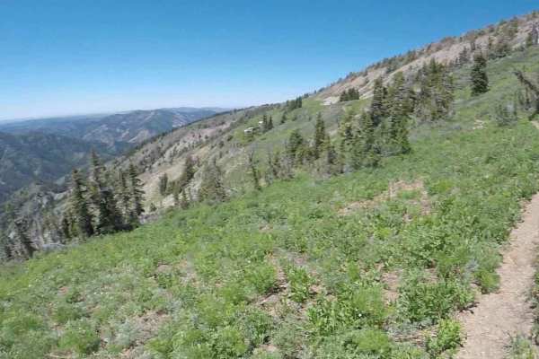 Elk Ridge Mtn